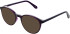 Lazer 4146 sunglasses in Purple