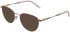 Lazer 4150 sunglasses in Gold