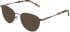Lazer 4150 sunglasses in Lilac