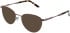 Lazer 4150 sunglasses in Rose Gold