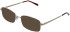 Matrix 229-51 sunglasses in Gold