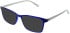 Matrix 842 sunglasses in Navy