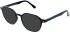 Matrix 844 sunglasses in Black