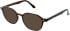 Matrix 844 sunglasses in Brown