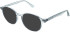 Matrix 844 sunglasses in Grey