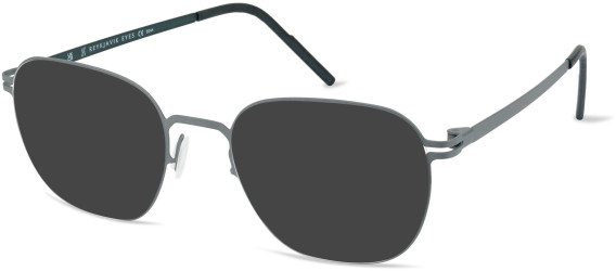 Reykjavik Eyes Alix sunglasses in Gun