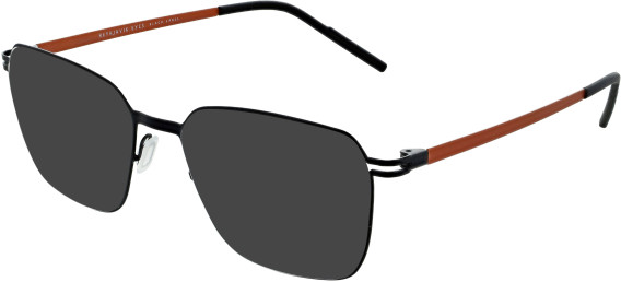 Reykjavik Eyes ASLA sunglasses in Black