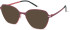 Reykjavik Eyes Rakel sunglasses in Burgundy/Red