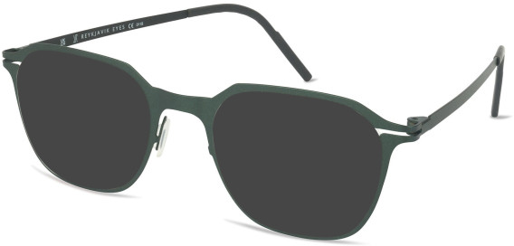 Reykjavik Eyes Svend sunglasses in Khaki/Black