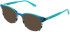 vibe. 08 sunglasses in Teal Multi