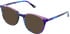 vibe. 18 sunglasses in Pink Multi