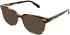 Walter & Herbert Chapman sunglasses in Tort