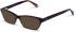 Walter & Herbert Fields sunglasses in Purple