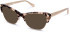 Walter & Herbert Franklin sunglasses in Tort