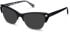 Walter & Herbert Franklin sunglasses in Black