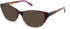 Walter & Herbert Pankhurst sunglasses in Tort/Purple