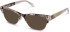 Walter & Herbert Shelley sunglasses in Grey