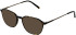 X-Eyes Lite 36 sunglasses in Tort