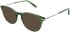Zenith 104 sunglasses in Khaki Green