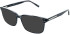 Zenith 105 sunglasses in Grey