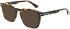 Zenith 107 sunglasses in Tort