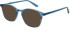 Zenith 109 sunglasses in Navy