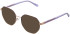 Zenith 111 sunglasses in Purple