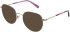 Zenith 112 sunglasses in Rose Gold