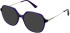 Zenith 114 sunglasses in Purple