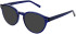 Zenith 116 sunglasses in Navy
