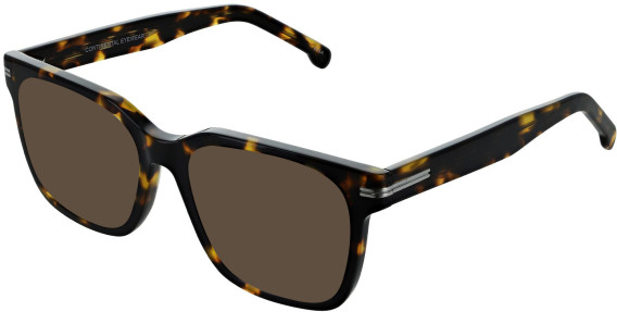 Zenith 119 sunglasses in Tort