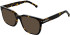 Zenith 119 sunglasses in Tort