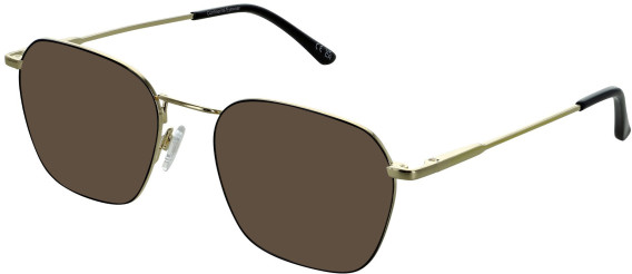 Zenith 120 sunglasses in Gold/Black