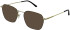 Zenith 120 sunglasses in Gold/Black