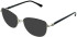 Amore Amalfi sunglasses in Black