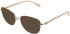 Amore Amalfi sunglasses in Rose Gold