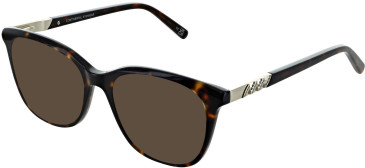 Amore Anna sunglasses in Tort