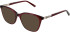 Amore Anna sunglasses in Wine