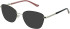 Amore Aria-53 sunglasses in Black