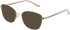 Amore Aria-53 sunglasses in Tan
