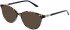 Amore Bianca sunglasses in Tort