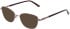 Amore Fabia sunglasses in Rose