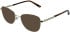 Amore Martina sunglasses in Gold