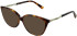 Amore Vittoria sunglasses in Tort