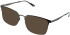 Cameo Albert sunglasses in Gun