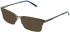 Cameo Alistair sunglasses in Gun