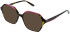 Cameo Blossom sunglasses in Wine