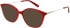 Cameo Elise sunglasses in Red