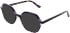 Cameo Enya sunglasses in Purple