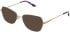 Cameo Grace sunglasses in Rose Gold